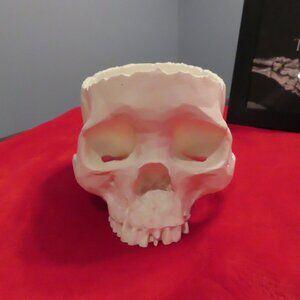 White Skull Container